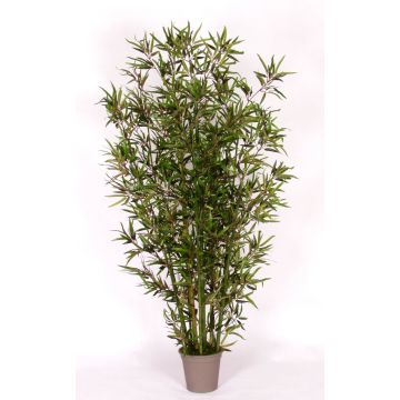 Artificial bamboo HILDEMARA, natural bamboo sticks, crossdoor, 6ft/175cm - Made in Italy
