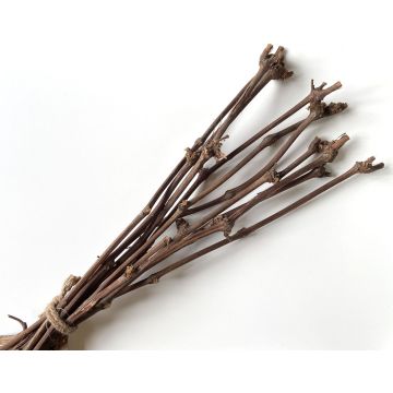 Grapevine branches RAGGA in a bunch, 10 pieces, natural, 24"/60cm