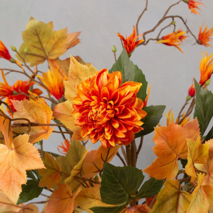 Autumn leaves