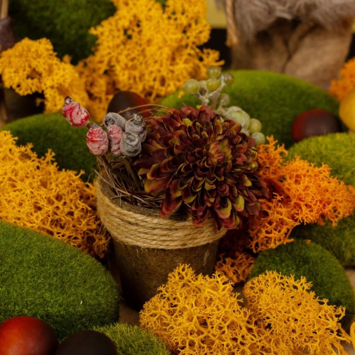 Autumn arrangements
