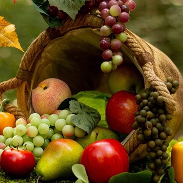 Fruits / Vegetables