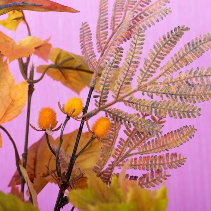 Autumn branches