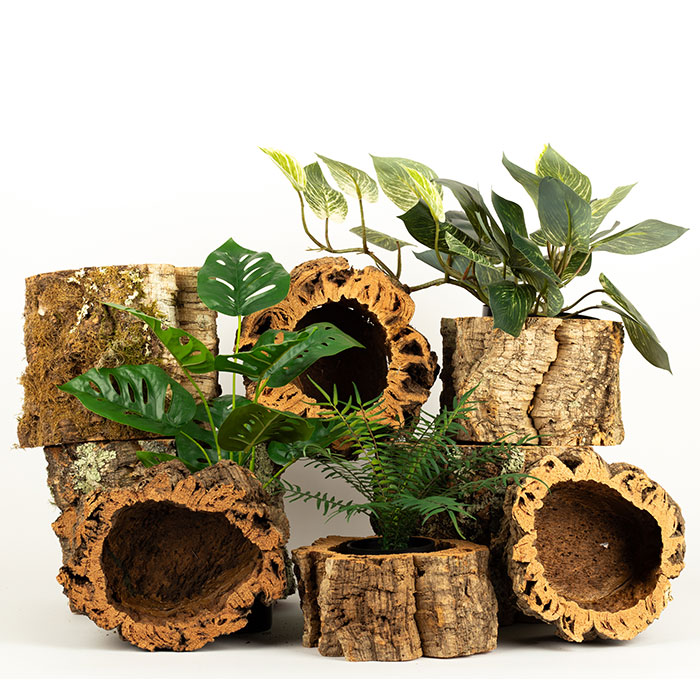 Cork plant pots