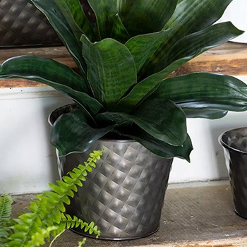 Anthracite flower pots