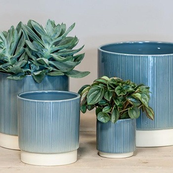 Blue flower pots