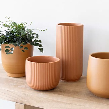 Brown flower pots