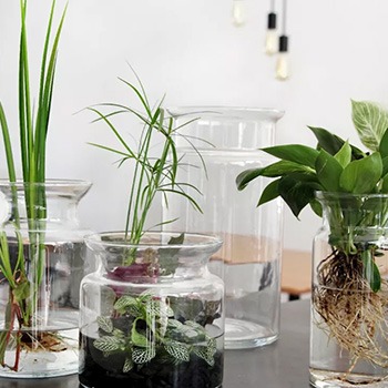 Transparent flower pots