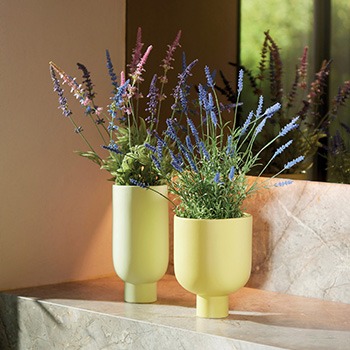 Yellow flower pots