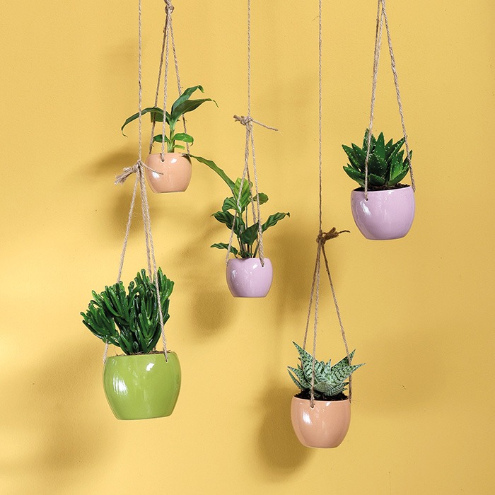 Flower pots by function