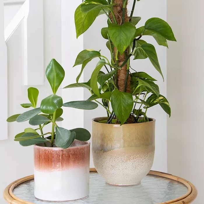 Flower pots