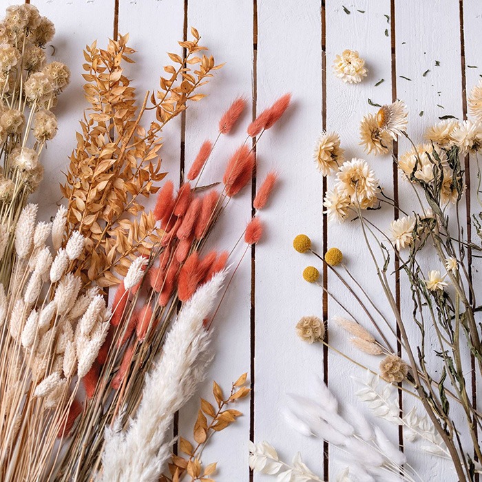 Dried flowers