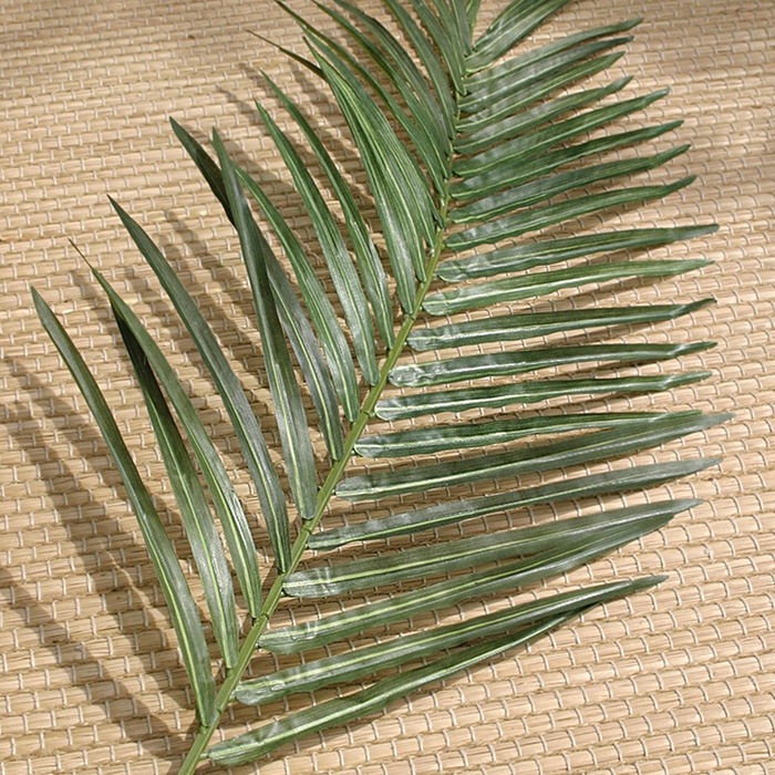 Palm leaves